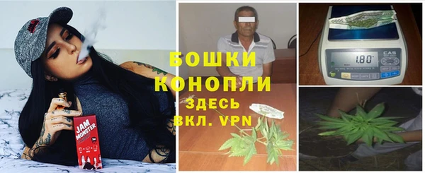 хмурый Бородино