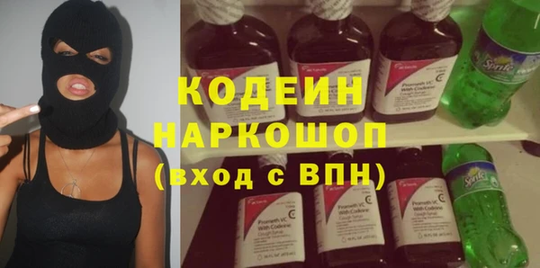 хмурый Бородино
