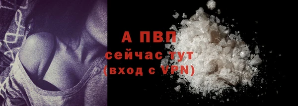 хмурый Бородино