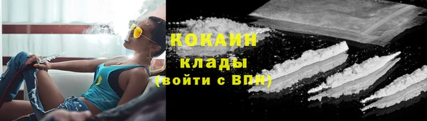 хмурый Бородино