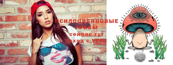 хмурый Бородино
