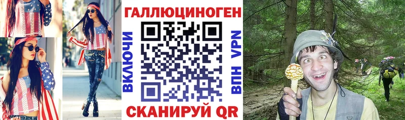Псилоцибиновые грибы Psilocybe  Купить где  Славск 